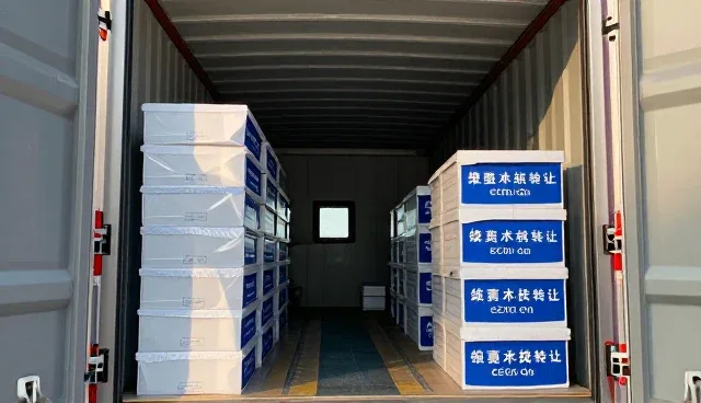 企业技术选型的演进路径与合作模式优化